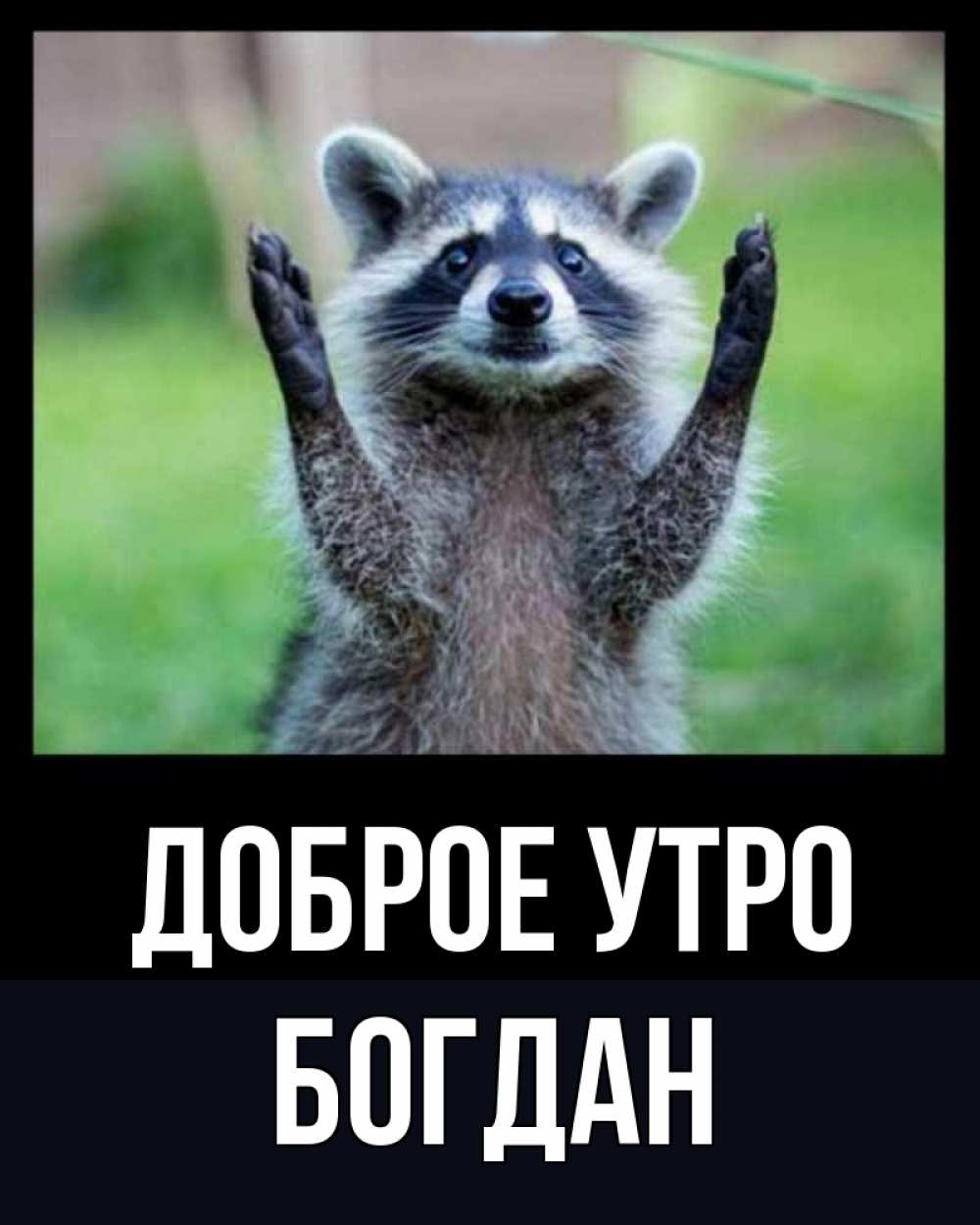 Открытка на каждый день с именем, Богдан Доброе утро хорошее настроение утречком Прикольная открытка с пожеланием онлайн скачать бесплатно 