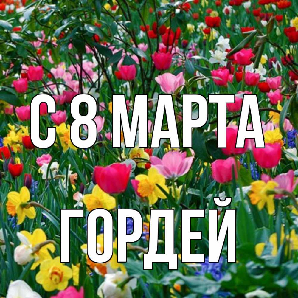Открытка на каждый день с именем, Гордей С 8 марта с международным женским днем поздравления для женщины Прикольная открытка с пожеланием онлайн скачать бесплатно 