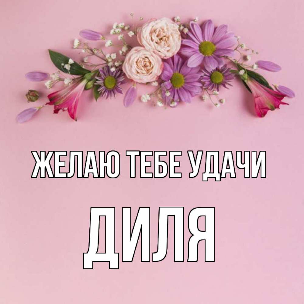 Открытка на каждый день с именем, Диля Желаю тебе удачи розовый фон Прикольная открытка с пожеланием онлайн скачать бесплатно 