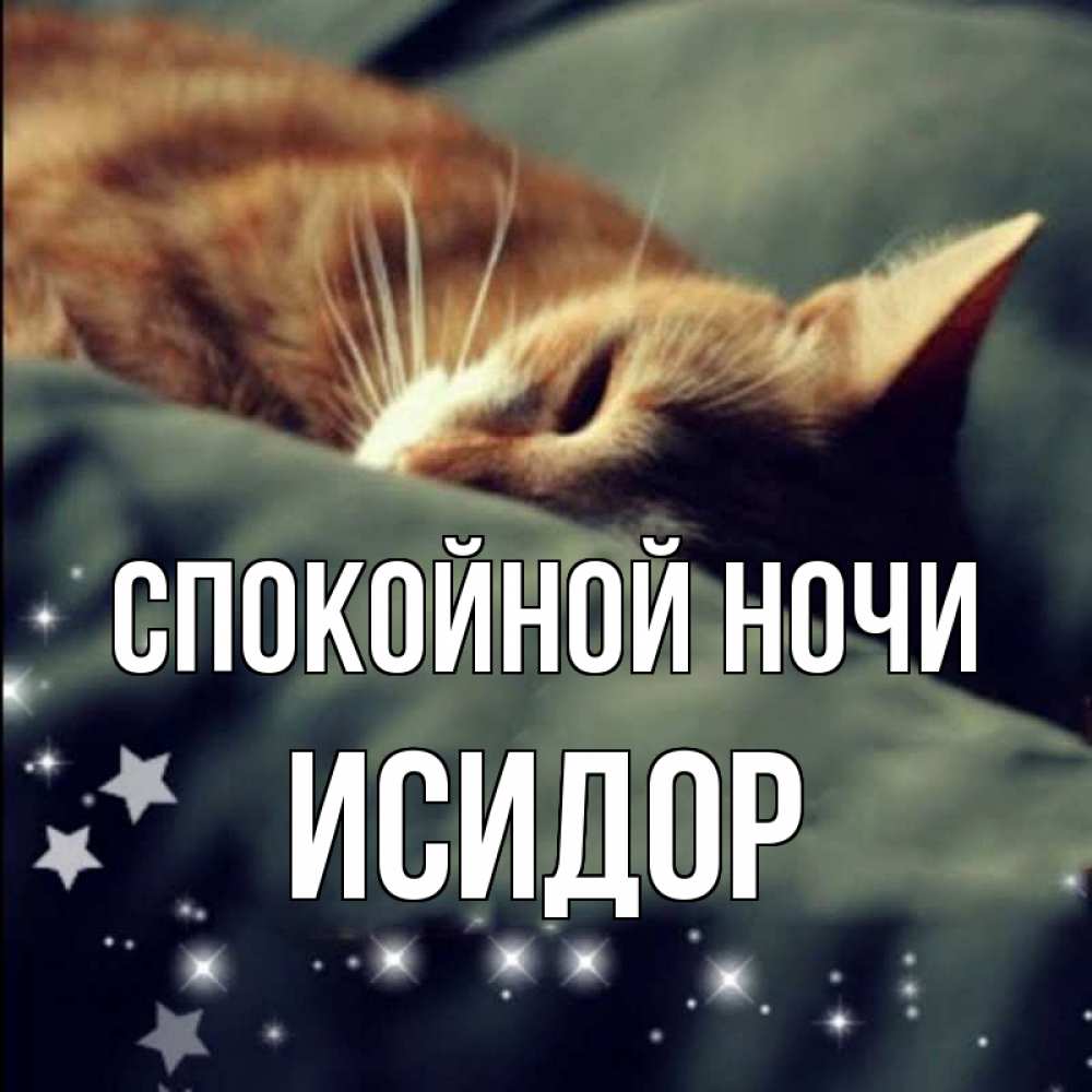 Открытка на каждый день с именем, Исидор Спокойной ночи кроватка Прикольная открытка с пожеланием онлайн скачать бесплатно 
