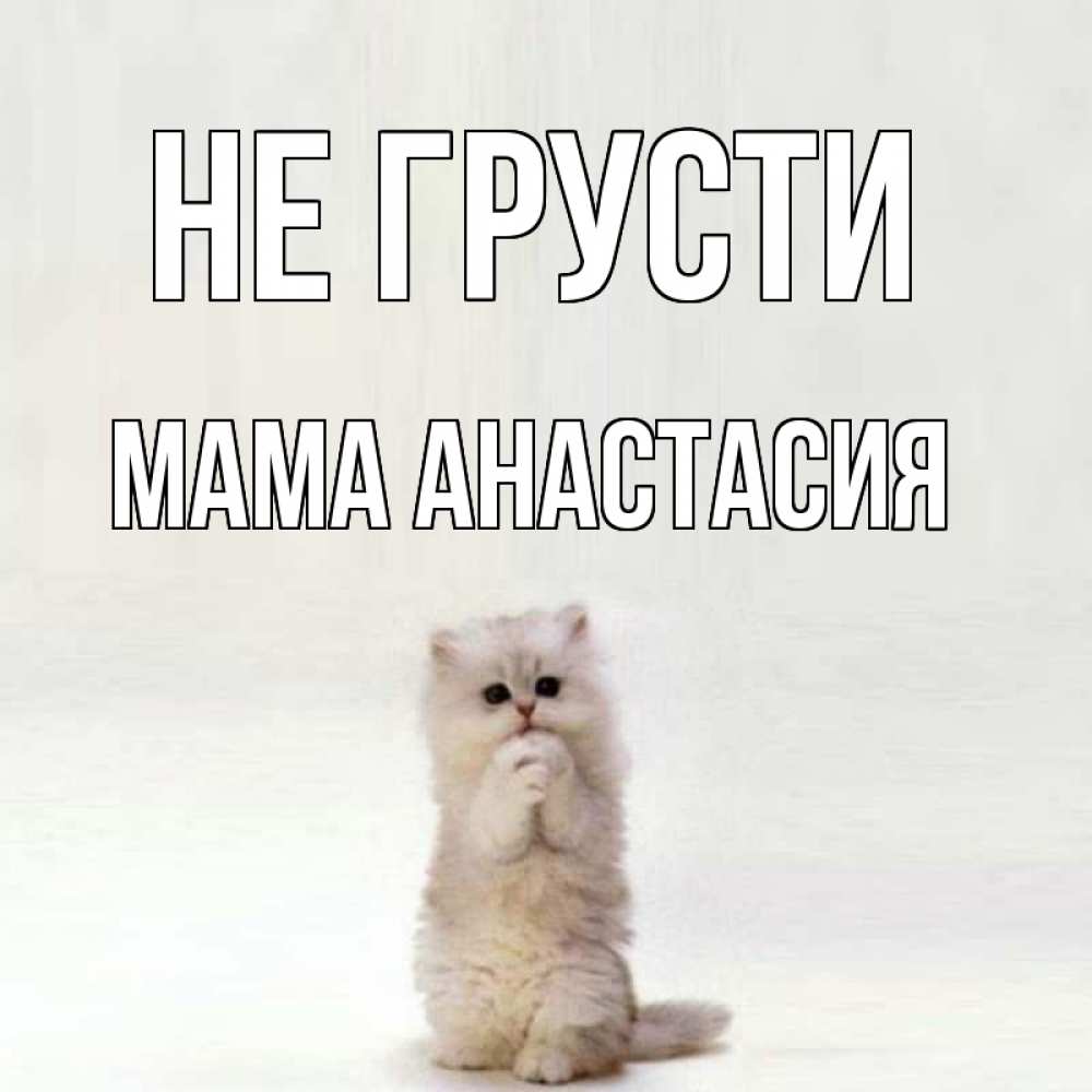 Открытка на каждый день с именем, Мама-Анастасия Не грусти грустный кот Прикольная открытка с пожеланием онлайн скачать бесплатно 