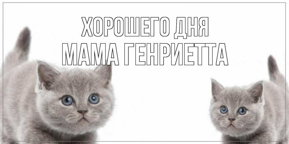 Открытка на каждый день с именем, Мама-Генриетта Хорошего дня открытка с котами Прикольная открытка с пожеланием онлайн скачать бесплатно 