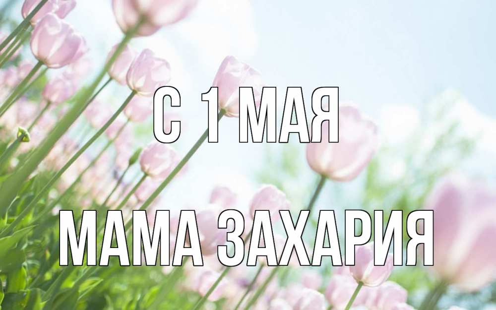Открытка на каждый день с именем, Мама-Захария С 1 мая С 1 мая Прикольная открытка с пожеланием онлайн скачать бесплатно 