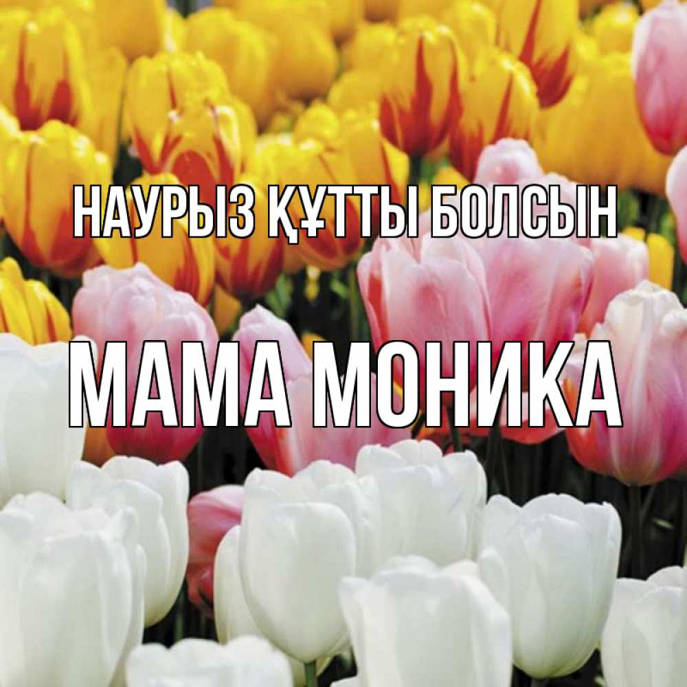 Открытка на каждый день с именем, Мама-Моника Наурыз құтты болсын разноцветные цветы Прикольная открытка с пожеланием онлайн скачать бесплатно 