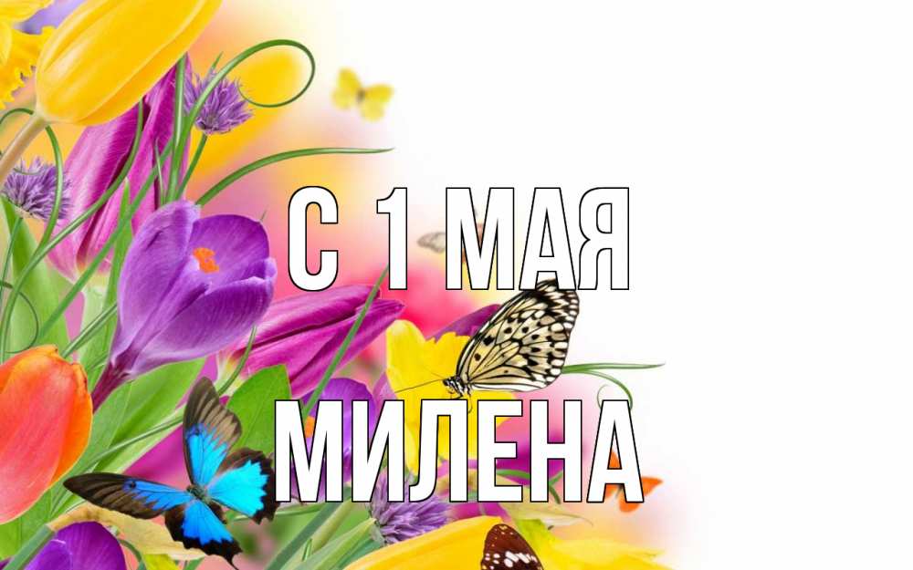 Открытка на каждый день с именем, Милена С 1 мая С 1 мая Прикольная открытка с пожеланием онлайн скачать бесплатно 