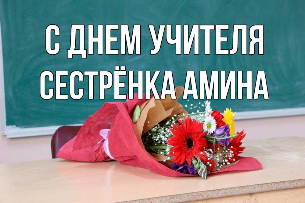 Открытка на каждый день с именем, Сестрёнка-Амина С днем учителя школа с днем учителя Прикольная открытка с пожеланием онлайн скачать бесплатно 