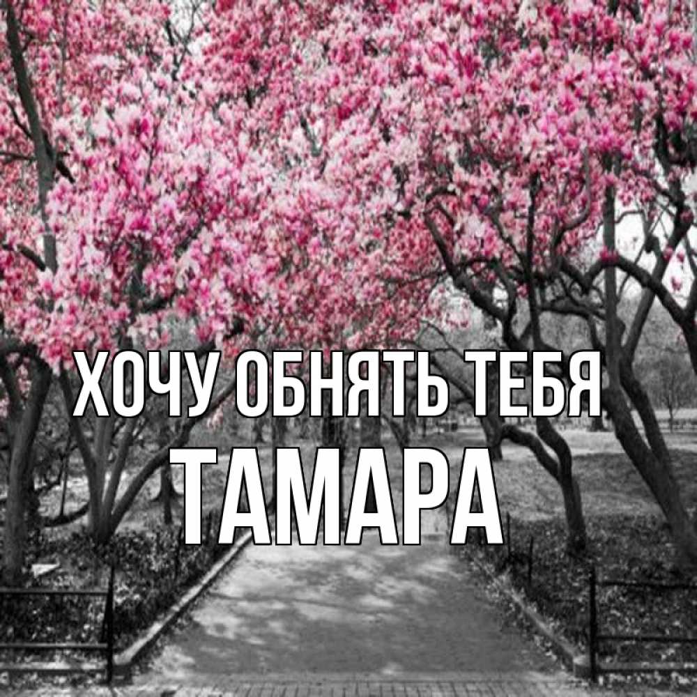Открытка на каждый день с именем, Тамара Хочу обнять тебя обработанное фото Прикольная открытка с пожеланием онлайн скачать бесплатно 