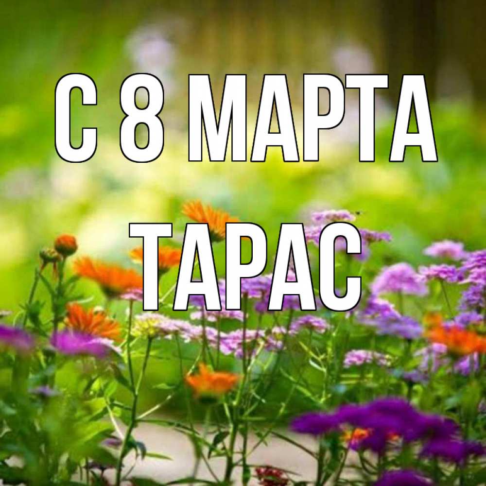 Открытка на каждый день с именем, Тарас С 8 МАРТА цветы Прикольная открытка с пожеланием онлайн скачать бесплатно 