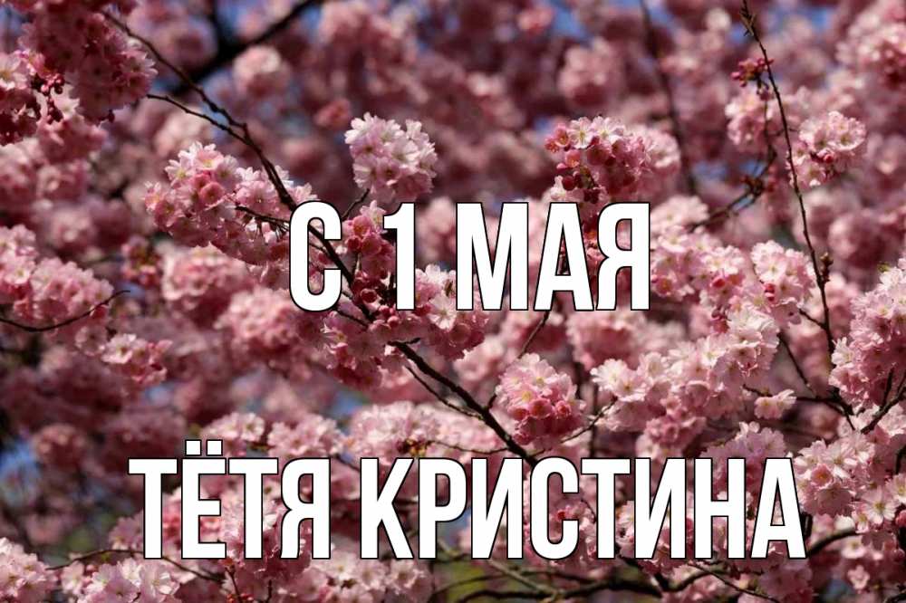 Открытка на каждый день с именем, Тётя-Кристина С 1 мая С 1 мая Прикольная открытка с пожеланием онлайн скачать бесплатно 