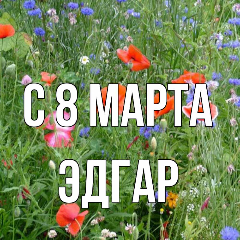 Открытка на каждый день с именем, Эдгар С 8 МАРТА международный женский день 4 Прикольная открытка с пожеланием онлайн скачать бесплатно 
