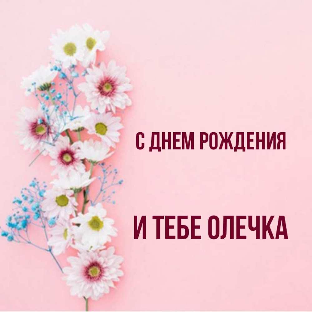 Открытка на каждый день с именем, и-тебе-Олечка С днем рождения Родная моя с днем рождения тебя картинка с цветами белыми и голубыми Прикольная открытка с пожеланием онлайн скачать бесплатно 
