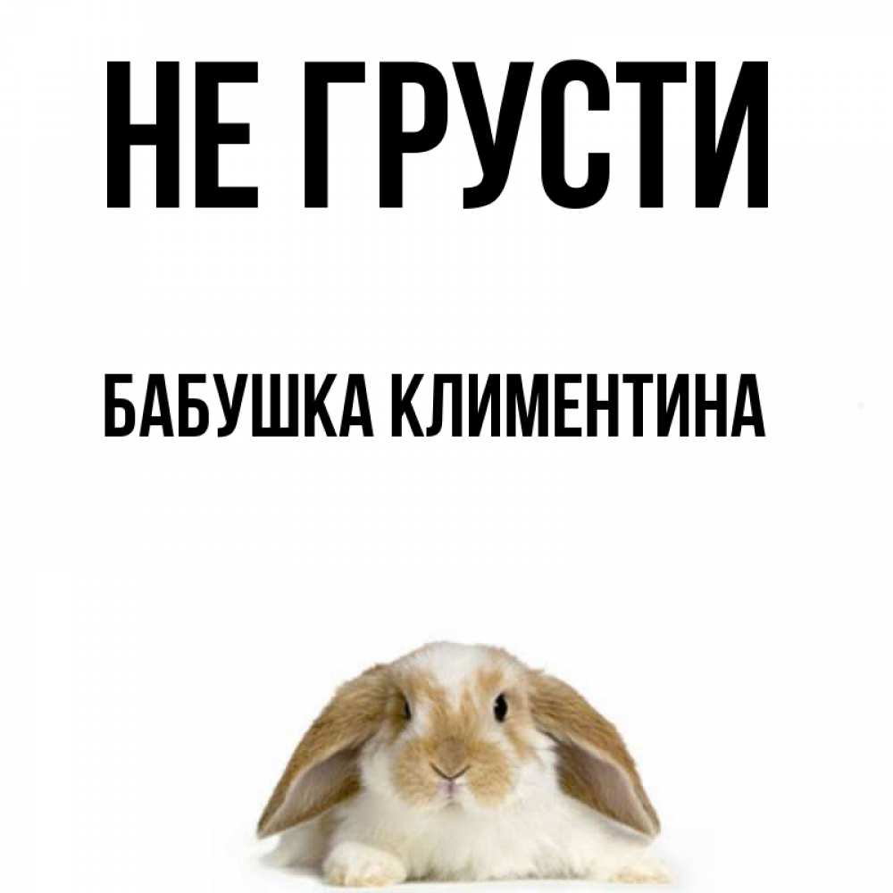 Открытка на каждый день с именем, Бабушка-Климентина Не грусти коричнево белый заяц с большими ушками Прикольная открытка с пожеланием онлайн скачать бесплатно 