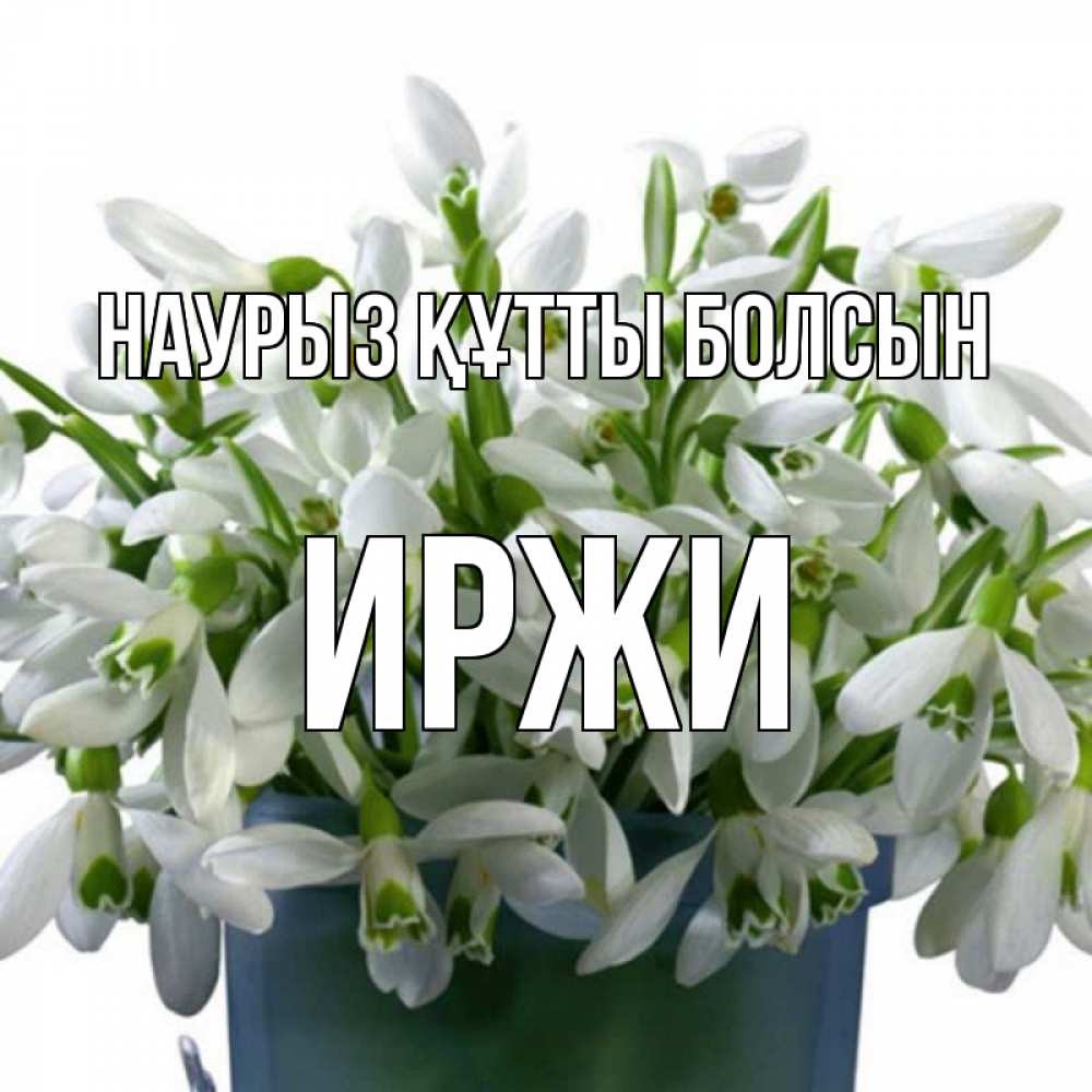 Открытка на каждый день с именем, Иржи Наурыз құтты болсын цветы к наурызу Прикольная открытка с пожеланием онлайн скачать бесплатно 