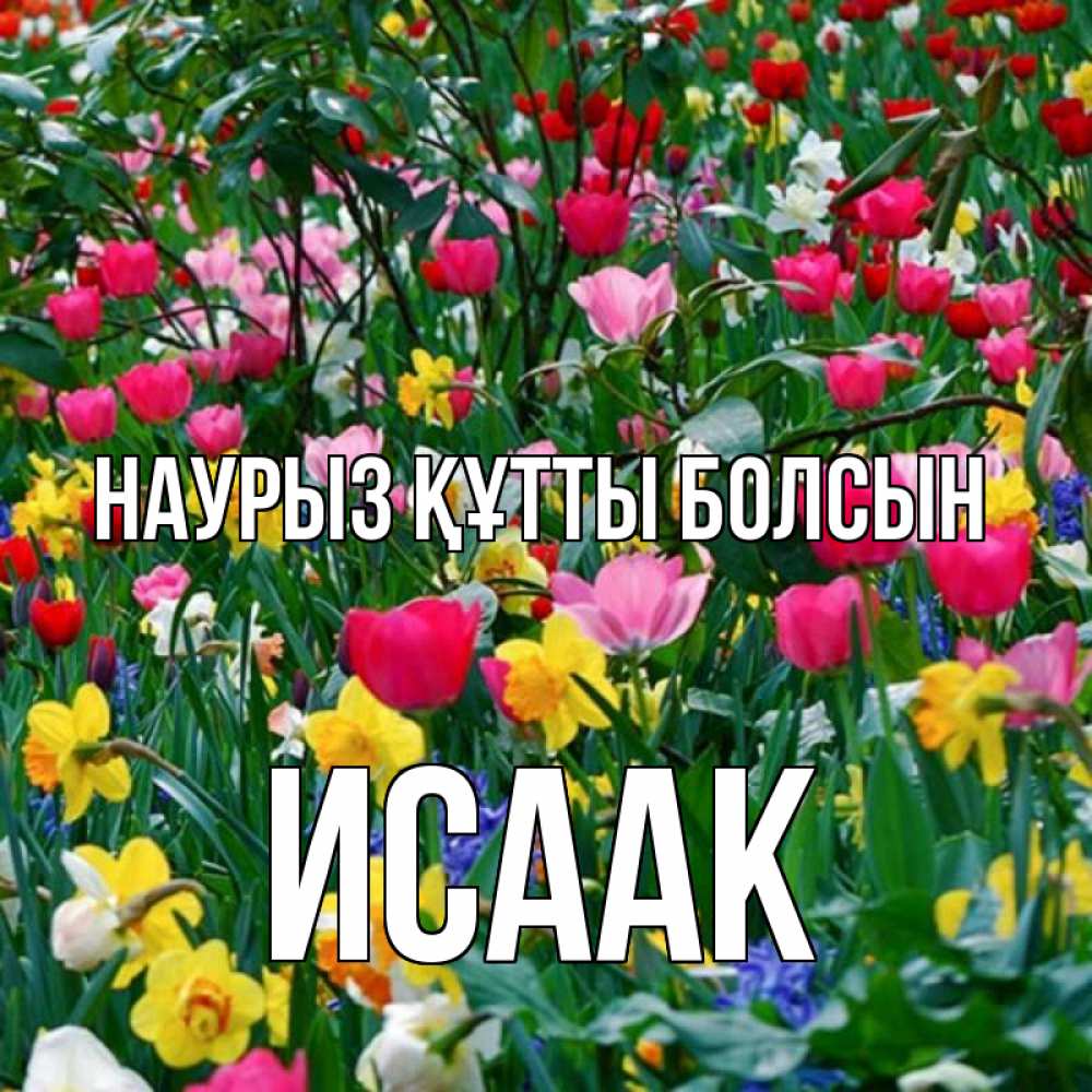 Открытка на каждый день с именем, Исаак Наурыз құтты болсын с наурызом поздравления для женщины Прикольная открытка с пожеланием онлайн скачать бесплатно 