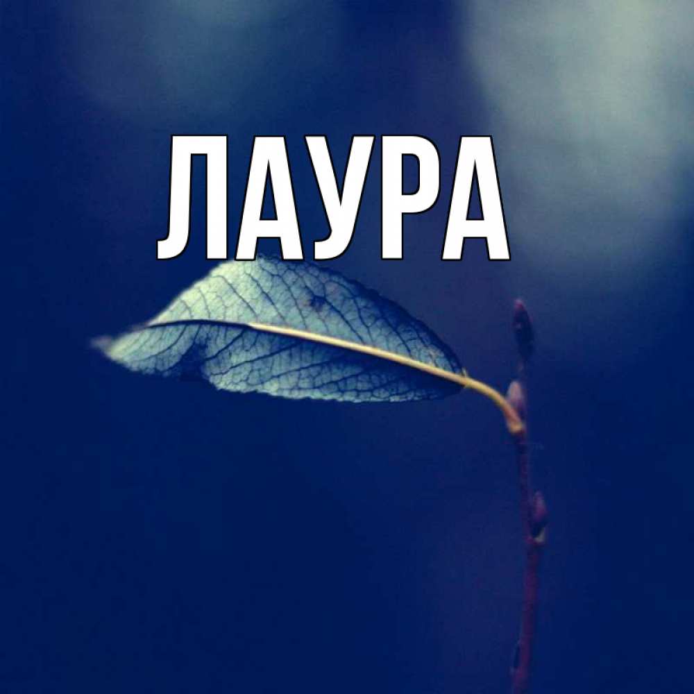 Открытка на каждый день с именем, Лаура Главная растение Прикольная открытка с пожеланием онлайн скачать бесплатно 