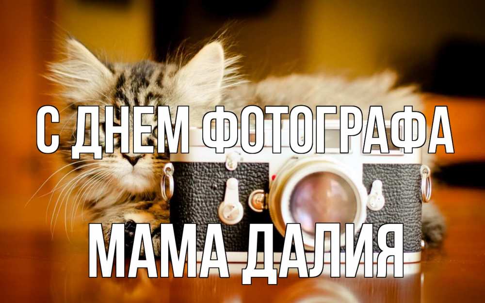 Открытка на каждый день с именем, Мама-Далия С днем фотографа с днем фотографа Прикольная открытка с пожеланием онлайн скачать бесплатно 