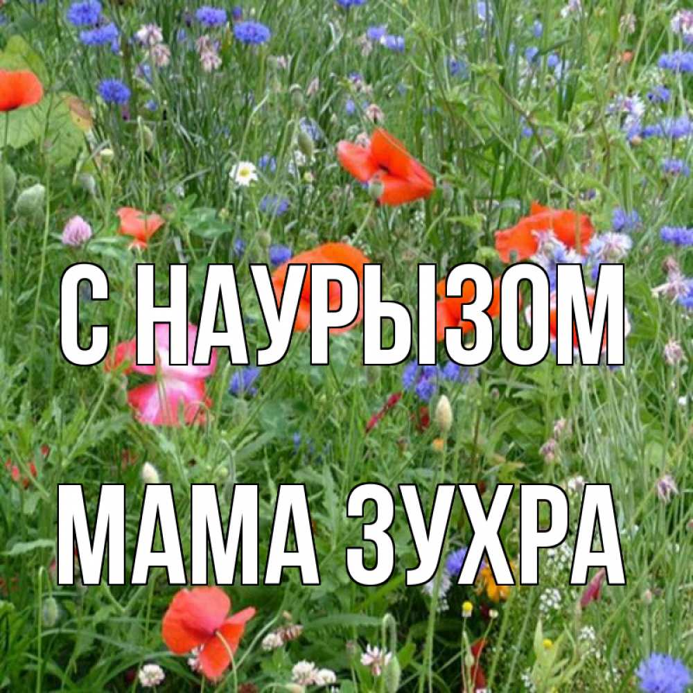 Открытка на каждый день с именем, Мама-Зухра С наурызом праздник весны наурыз супер открытка Прикольная открытка с пожеланием онлайн скачать бесплатно 