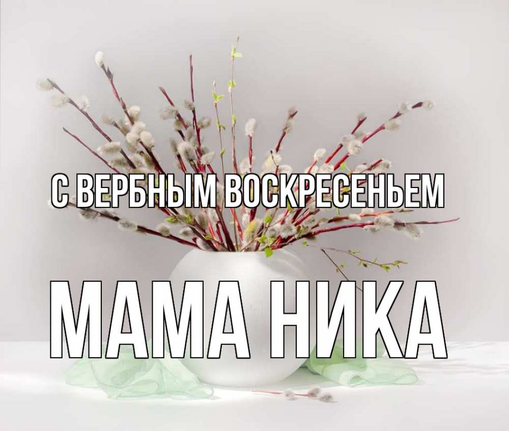 Открытка на каждый день с именем, Мама-Ника С вербным воскресеньем верба Прикольная открытка с пожеланием онлайн скачать бесплатно 
