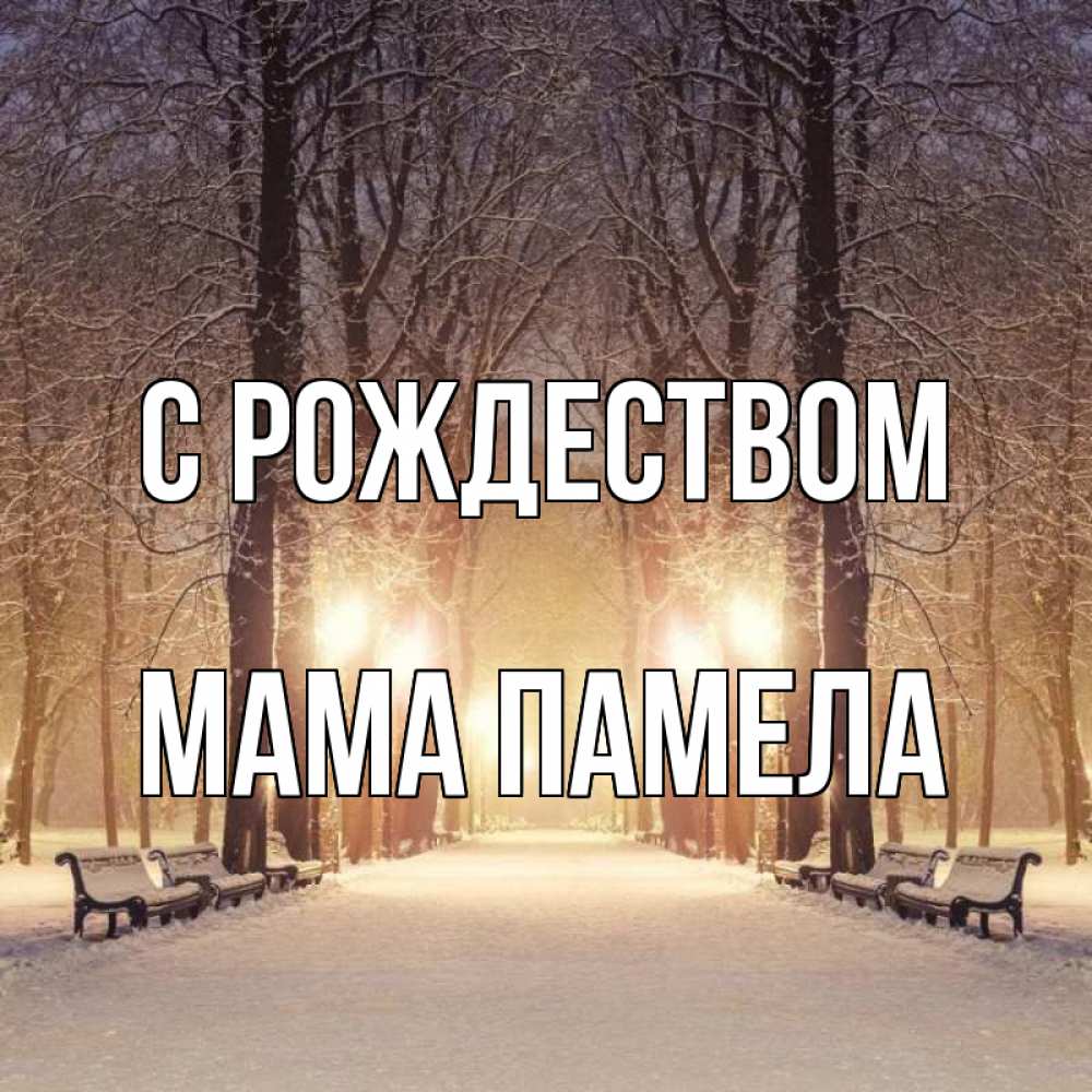Открытка на каждый день с именем, Мама-Памела С рождеством зима, парк, фонарь, лес Прикольная открытка с пожеланием онлайн скачать бесплатно 