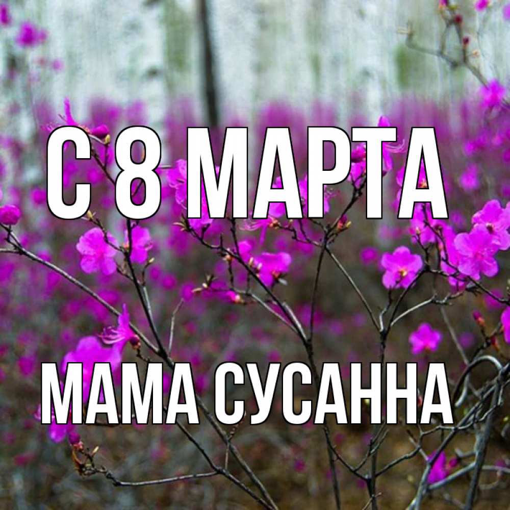Открытка на каждый день с именем, Мама-Сусанна С 8 МАРТА дикие цветы Прикольная открытка с пожеланием онлайн скачать бесплатно 