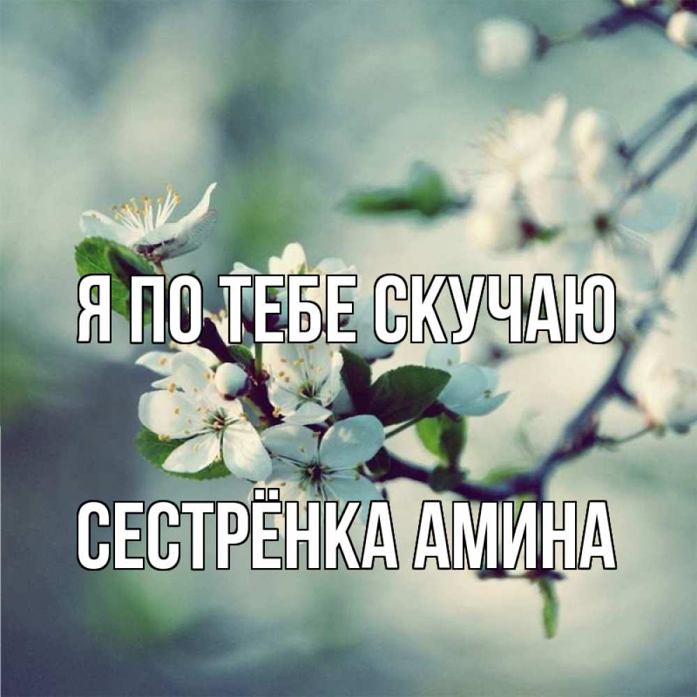 Открытка на каждый день с именем, Сестрёнка-Амина Я по тебе скучаю весна Прикольная открытка с пожеланием онлайн скачать бесплатно 