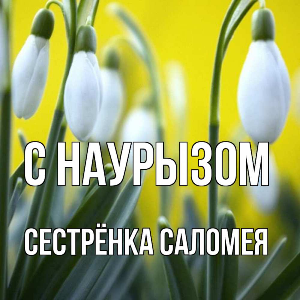 Открытка на каждый день с именем, Сестрёнка-Саломея С наурызом весенние цветы Прикольная открытка с пожеланием онлайн скачать бесплатно 