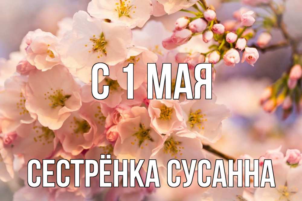 Открытка на каждый день с именем, Сестрёнка-Сусанна С 1 мая С 1 мая Прикольная открытка с пожеланием онлайн скачать бесплатно 