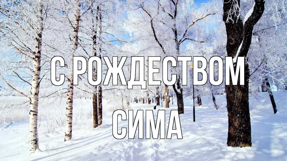 Открытка на каждый день с именем, Сима С рождеством зимний лес Прикольная открытка с пожеланием онлайн скачать бесплатно 