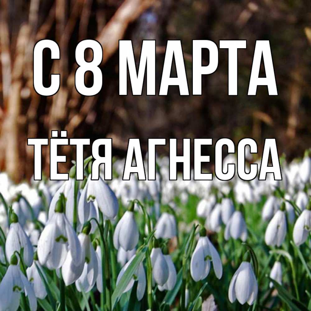 Открытка на каждый день с именем, Тётя-Агнесса С 8 МАРТА с подснежниками 1 Прикольная открытка с пожеланием онлайн скачать бесплатно 
