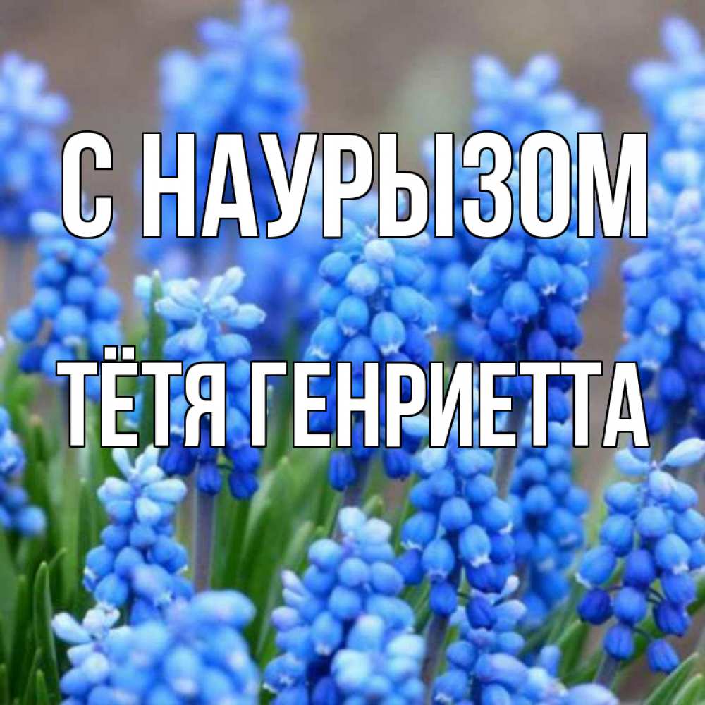 Открытка на каждый день с именем, Тётя-Генриетта С наурызом Поздравительная открытка для женщин с цветами на праздничную дату Прикольная открытка с пожеланием онлайн скачать бесплатно 