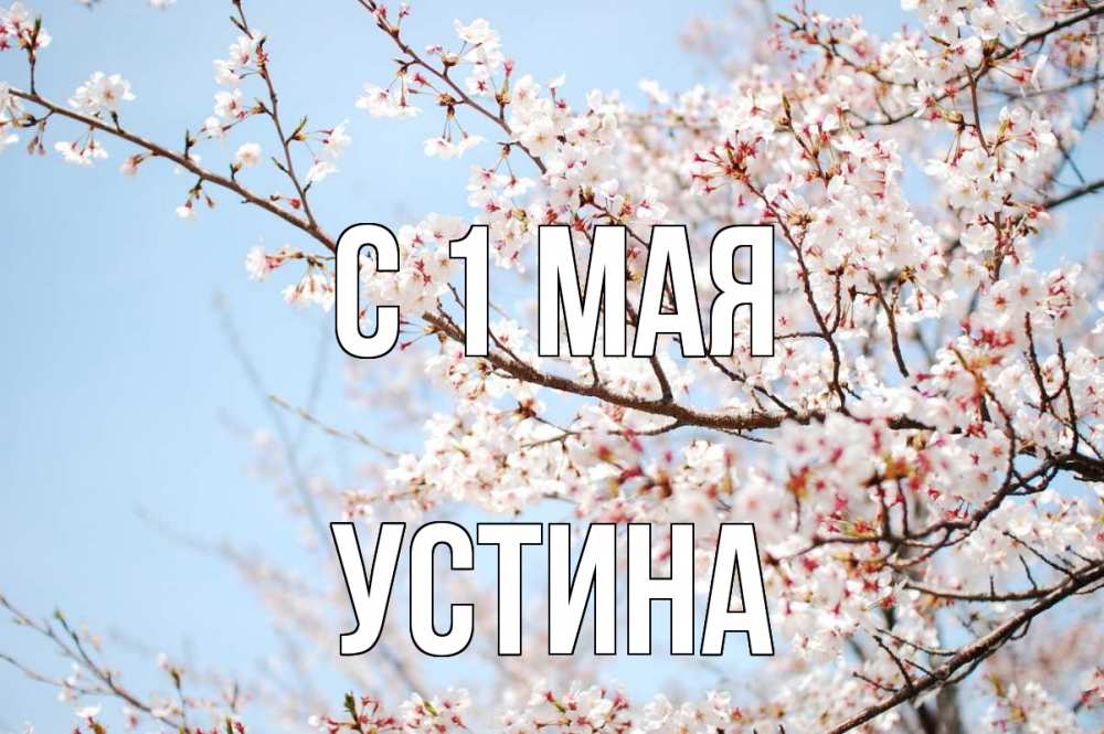 Открытка на каждый день с именем, Устина С 1 мая С 1 мая Прикольная открытка с пожеланием онлайн скачать бесплатно 