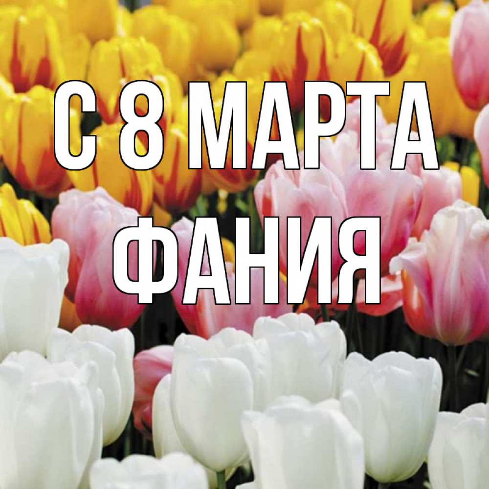 Открытка на каждый день с именем, Фания С 8 МАРТА разноцветные цветы Прикольная открытка с пожеланием онлайн скачать бесплатно 