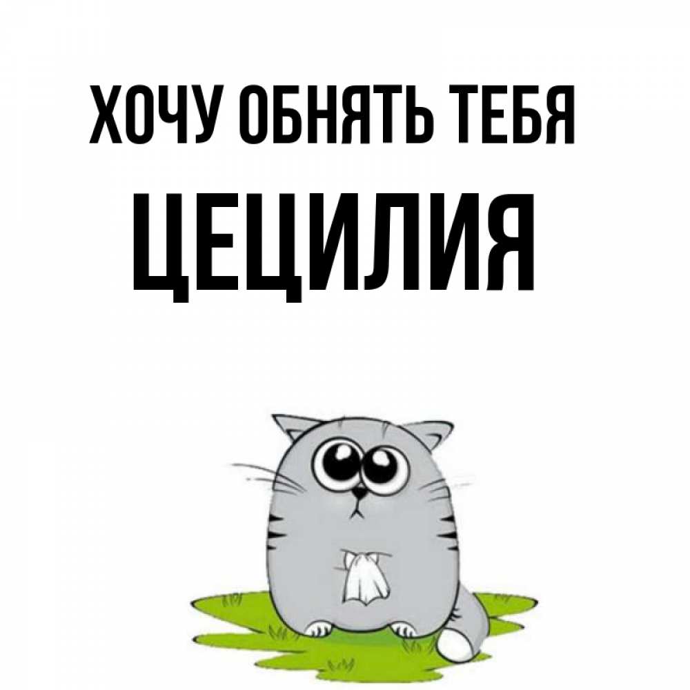 Открытка на каждый день с именем, Цецилия Хочу обнять тебя котик теребит платочек сидя на травке Прикольная открытка с пожеланием онлайн скачать бесплатно 