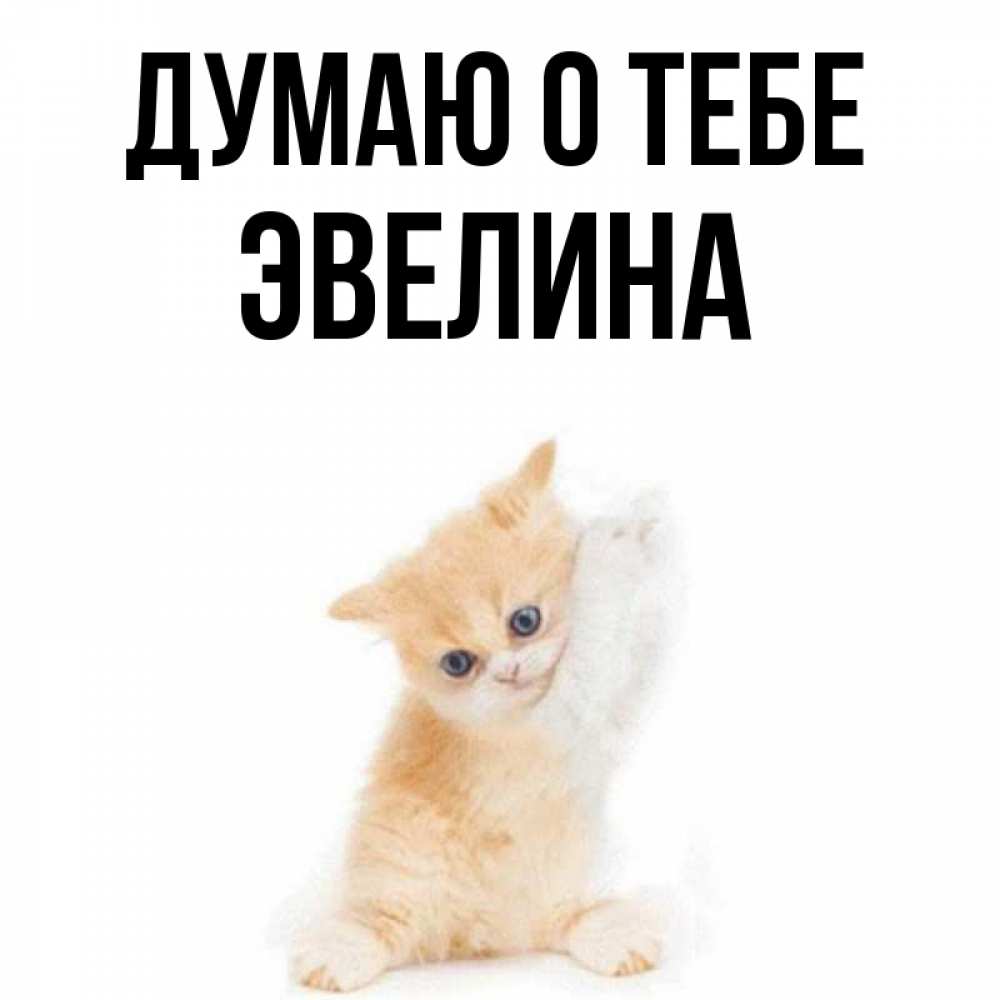 Открытка на каждый день с именем, Эвелина Думаю о тебе зверушки и милота Прикольная открытка с пожеланием онлайн скачать бесплатно 