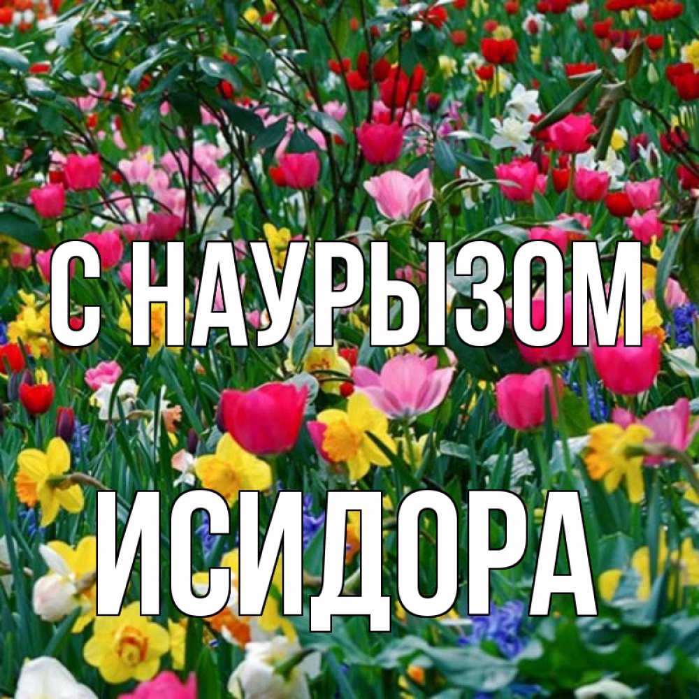 Открытка на каждый день с именем, Исидора С наурызом с наурызом праздником весны поздравления для женщины Прикольная открытка с пожеланием онлайн скачать бесплатно 
