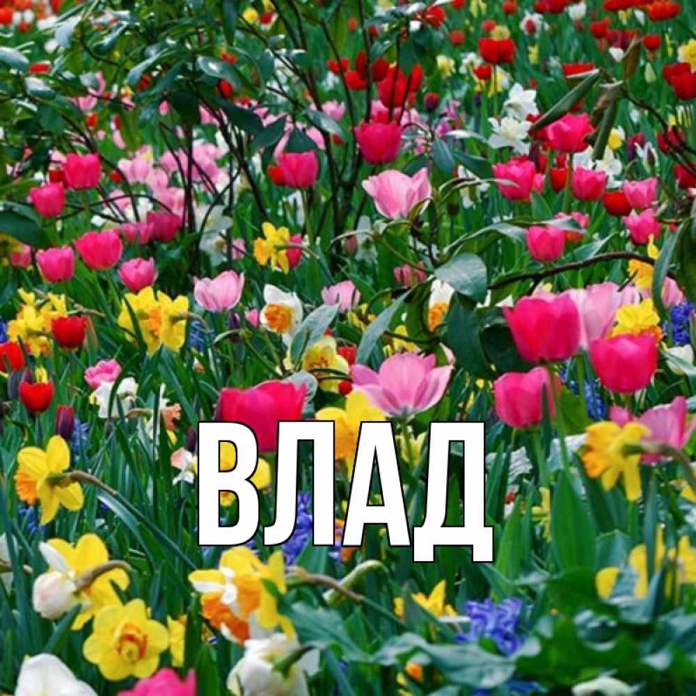 Картинка  с именем , Влад
