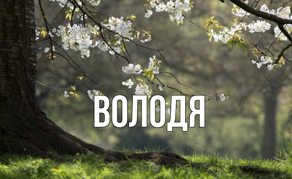 Открытка с именем, Володя, 