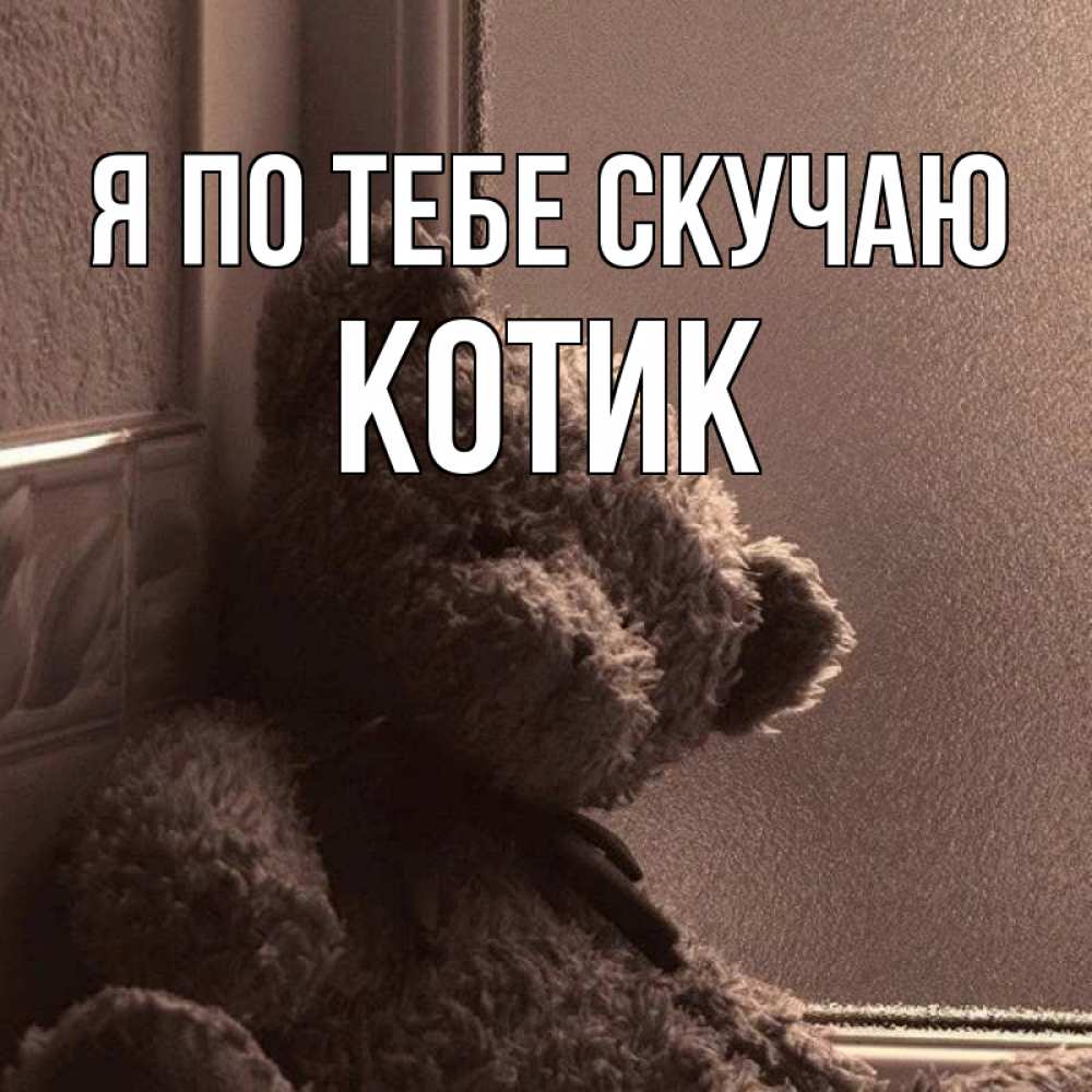 Открытка на каждый день с именем, Котик Я по тебе скучаю скучаем тут Прикольная открытка с пожеланием онлайн скачать бесплатно 