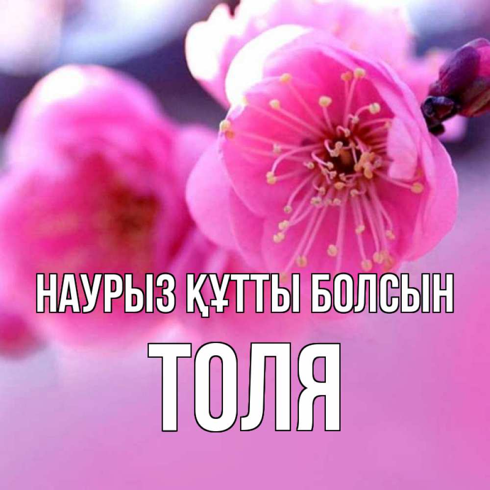 Открытка на каждый день с именем, Толя Наурыз құтты болсын наурыз мейрам Прикольная открытка с пожеланием онлайн скачать бесплатно 