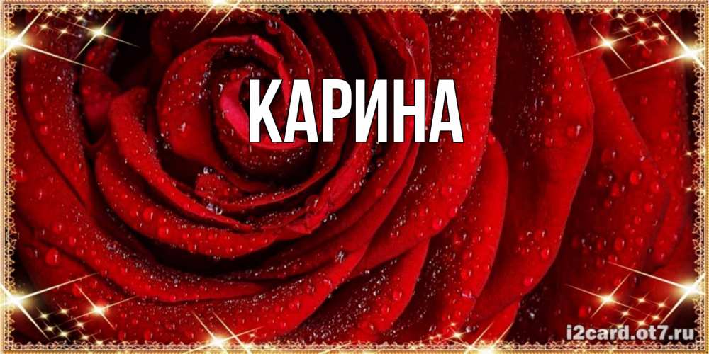 Открытка на каждый день с именем, Карина Главная роса на розе блестящая в лучах солнца Прикольная открытка с пожеланием онлайн скачать бесплатно 