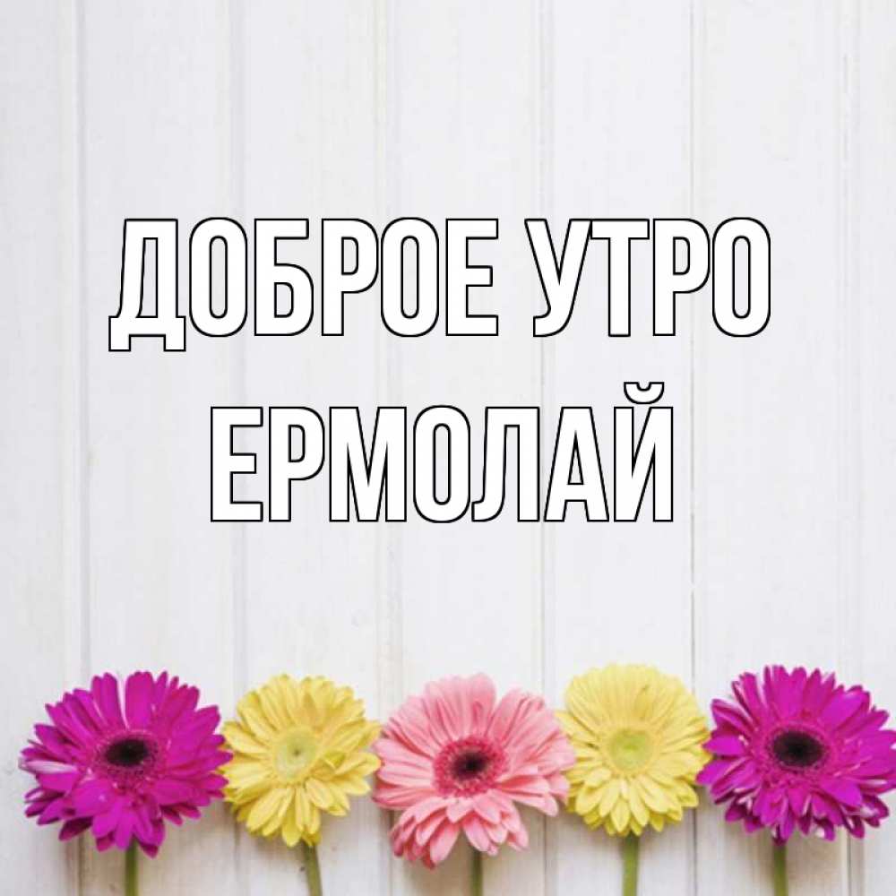 Открытка на каждый день с именем, Ермолай Доброе утро красный желтый и розовый цветок Прикольная открытка с пожеланием онлайн скачать бесплатно 