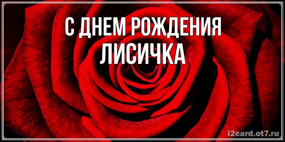 Картинка С днем рождения, Лисичка