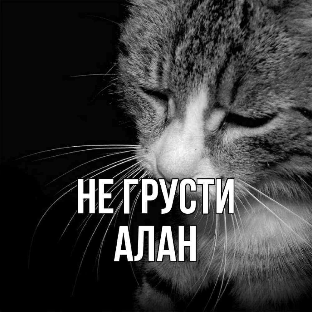 Открытка на каждый день с именем, Алан Не грусти грустный котик Прикольная открытка с пожеланием онлайн скачать бесплатно 