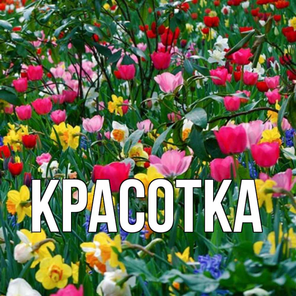 Картинка  с именем , красотка