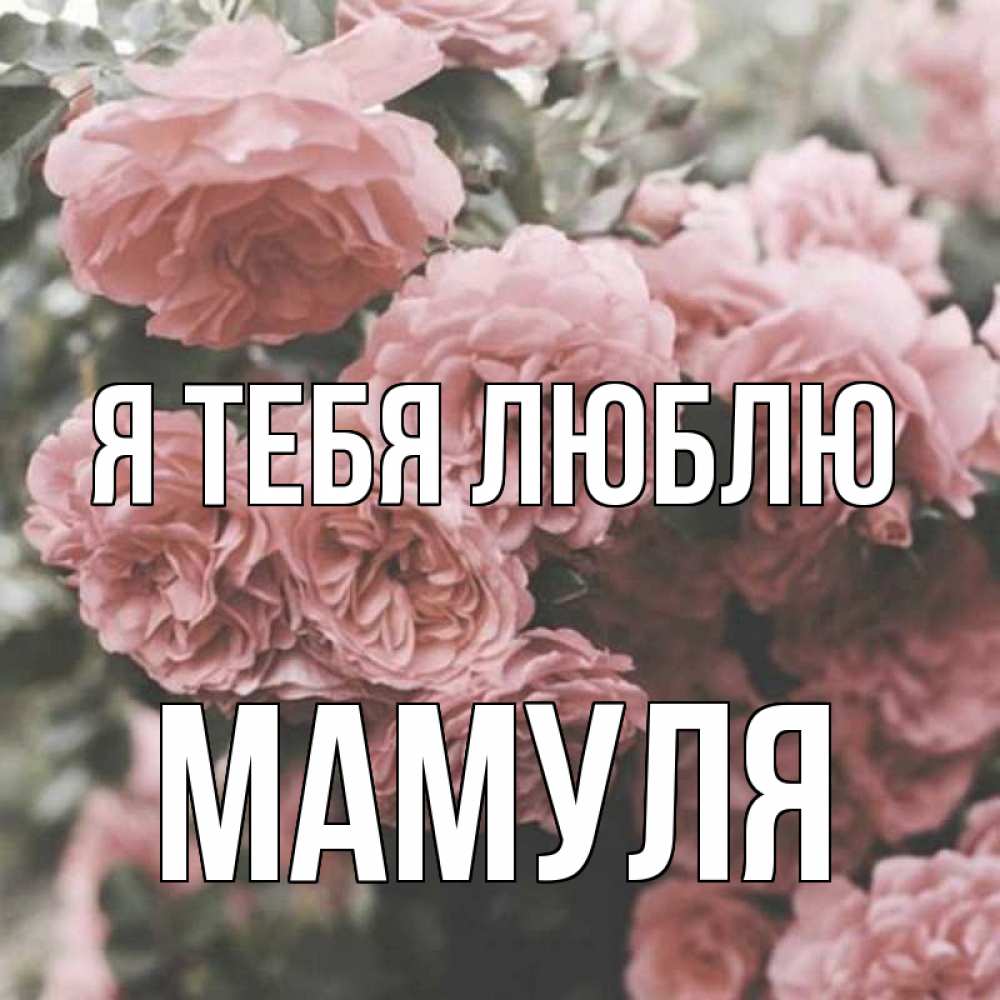 Мамуля Я Тебя Люблю Картинки