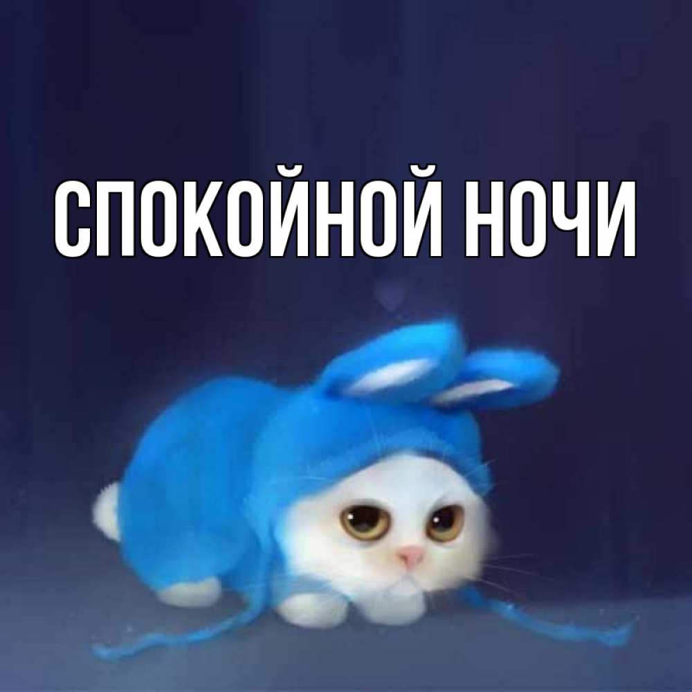 Открытка на каждый день с именем, выберите-имя Спокойной ночи кот в голубом костюме кролика с ушками Прикольная открытка с пожеланием онлайн скачать бесплатно 