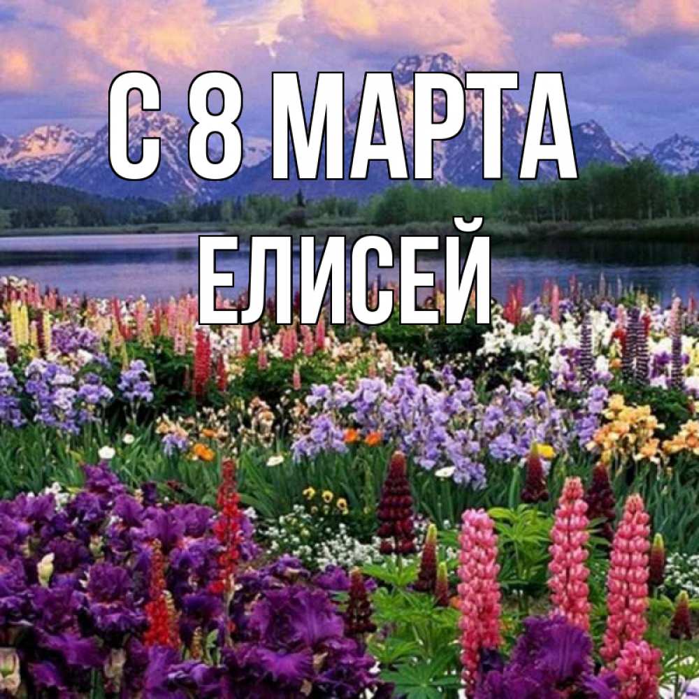 Открытка на каждый день с именем, Елисей С 8 МАРТА международный женский день Прикольная открытка с пожеланием онлайн скачать бесплатно 