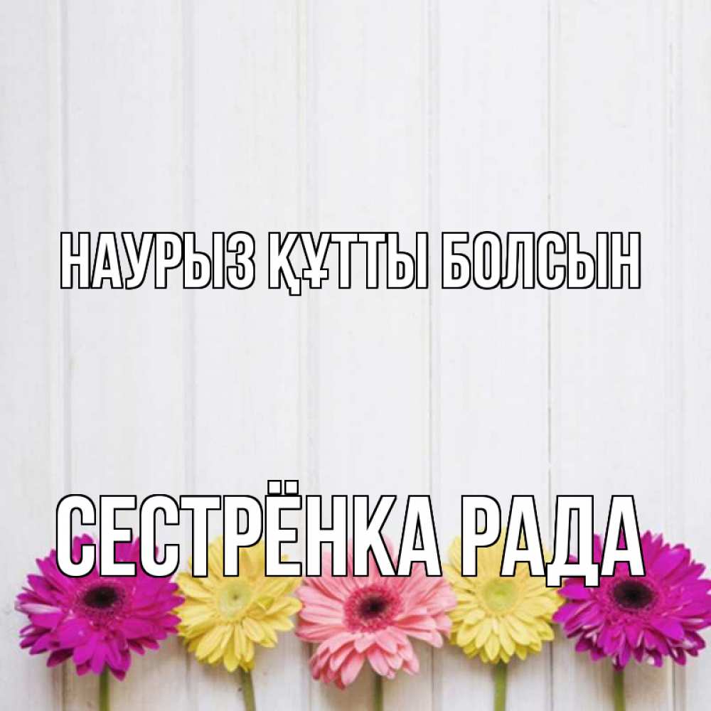 Открытка на каждый день с именем, Сестрёнка-Рада Наурыз құтты болсын женщинам 1 Прикольная открытка с пожеланием онлайн скачать бесплатно 
