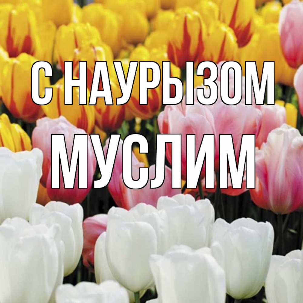Открытка на каждый день с именем, Муслим С наурызом разноцветные цветы Прикольная открытка с пожеланием онлайн скачать бесплатно 