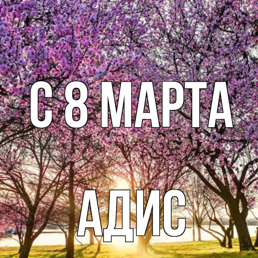 Открытка на каждый день с именем, Адис С 8 МАРТА международный женский день Прикольная открытка с пожеланием онлайн скачать бесплатно 
